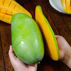 【省86元】七叶岛芒果_七叶岛 新鲜采摘大青芒果热带新鲜水果 精选大