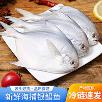 品八鲜 野生银鲳鱼 4条/斤*3