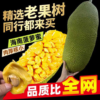 雪束 海南黄肉菠萝蜜  精选13-17斤（1个果）