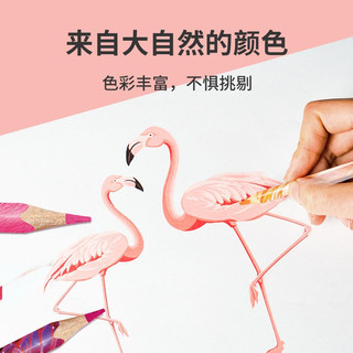 Maped 马培德 832212CH 油性彩色铅笔 12色