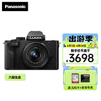 Panasonic 松下 G100D 微单/单电无反数码相机 V-log L 防抖 自拍翻转屏 内置三个麦克风多方位收音 G100DK套机