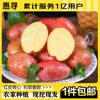 惠寻 京东自有品牌 红皮黄心土豆净重800g+ 带箱2斤 新鲜土豆马铃薯