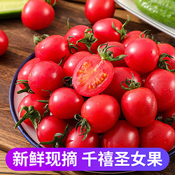 诱鲜地 千禧圣女果3斤 一级果现摘小西红柿樱桃番茄 新鲜水果蔬菜