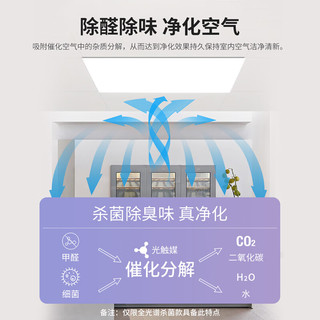 雷士 NVC   Lighting厨房灯 led集成吊顶厨卫灯吸顶灯 铝扣板卫生间无边框IP44平板灯 【杀菌款】24W/无边框工艺/IP44