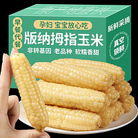 当季实惠价！！A级4斤拇指小玉米健康食品