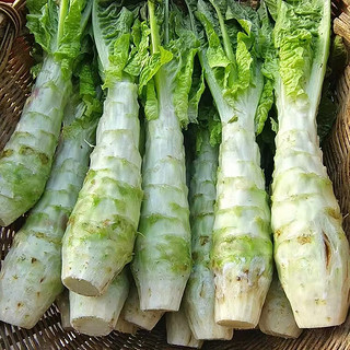栗贝诺新鲜莴笋农家菜绿色新鲜时令蔬菜现摘莴苣露天青笋4.5斤装