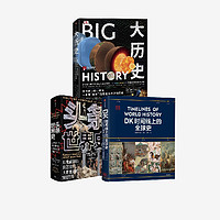 大历史+头条世界史+DK时间线上的全球史（套装3册）中信出版社图书 正版