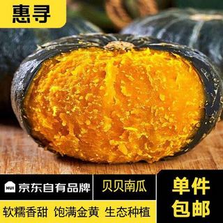 惠寻 国产贝贝南瓜1粒装 单果300g+ 香甜软糯 栗子口感