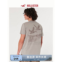 HOLLISTER 24春夏新款美式风情侣棉质图案T恤 男装女装 358765-1 灰褐色 M (180/100A)