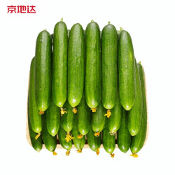 佧美垄 京地达 山东寿光 水果黄瓜 小黄瓜 荷兰黄瓜  4.5斤装  山东特产