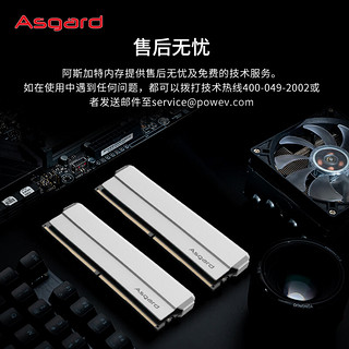 Asgard 阿斯加特 48GB(24GBx2)套装 DDR5 5600 台式机内存 海拉系列