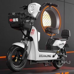 嘉陵电动车整车_jialing 嘉陵 电瓶车两轮代步车男女可上牌 优雅白