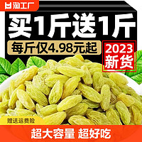 Gul Bag 古力巴戈 新疆特产特级超大免洗绿葡萄干独小包装提子500g黑加仑五色混合