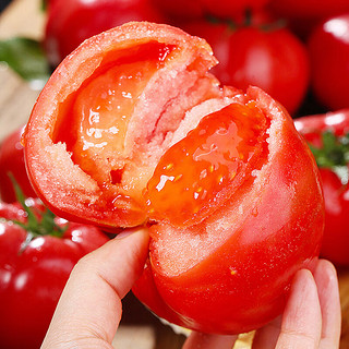 萄鲜客 普罗旺斯 西红柿 4.5斤