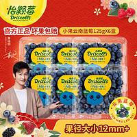 怡颗莓 当季云南蓝莓 国产蓝莓 新鲜水果 125g*6盒