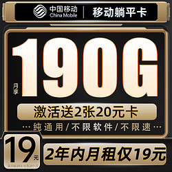 China Mobile 中国移动 躺平卡  2年19元月租（190G全国流量+纯通用不限软件+送480元话费+流量可续）送2张20E卡