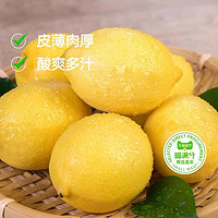 88VIP：喵满分 四川安岳黄柠檬 5斤 单果80g+