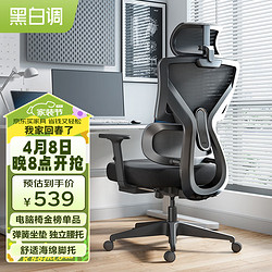 HBADA 黑白調 P5雙背款 人體工學椅