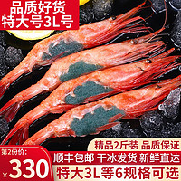 海皇湾北极甜虾刺身 即食生吃特大绿籽寿司冰虾 特大 3L18-21cm1000g/盒40-50只