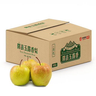 隰县玉露香梨 山西香梨 新鲜水果 梨子 水果礼盒生鲜 特产 9粒中果（约4.5斤）75-80mm