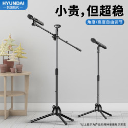 hyundai现代影音zj06麦克风话筒落地支架话筒架麦架落地直播钢管管体