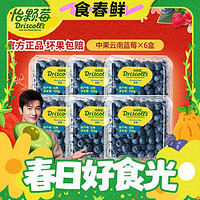 怡颗莓 当季云南蓝莓 125g*6盒