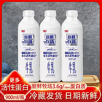 光明新鲜牧场900ml*2瓶低温牛乳活性蛋白儿童营养早餐牛奶