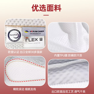 FLEX M 太空记忆棉枕头成人家用枕头枕芯护颈椎助睡眠不塌陷护颈枕