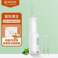 Xiaomi 小米 MI）米家立式冲牙器F300烟纱白 洗牙器水牙线 创新散射脉冲 4档模式3种喷嘴 240ML大水箱