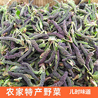 颜曼箐新鲜构树穗构树花楚不久现摘现发河南农家应季野菜蒸菜 500g