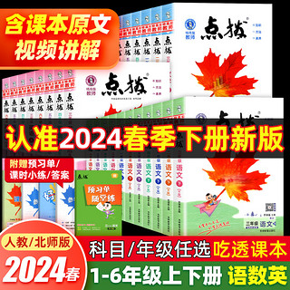 《2024春小学点拨同步训练》（数学人教版，年级任选）