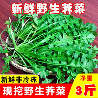 阿树尚【鲜挖】荠菜新鲜野生荠菜野菜新鲜现挖地菜荠荠菜蔬菜地丁 新鲜荠菜1斤（量少不）