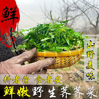 阿树尚【鲜挖】荠菜新鲜野生荠菜野菜新鲜现挖地菜荠荠菜蔬菜地丁 新鲜荠菜1斤（量少不）