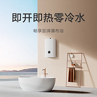 Xiaomi 小米 米家零冷水燃气热水器18L S2