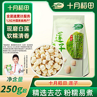 百亿补贴：十月稻田 莲子250g/袋2袋3袋5袋磨皮通心白莲去芯无芯莲银耳莲子