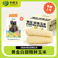 农科玉 农科院甜糯黄金玉米260g*8根