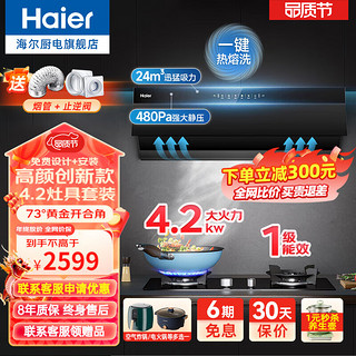 Haier 海尔 E900C17 侧吸式家用油烟机 24立方吸力 油烟机+4.2kw天然气灶