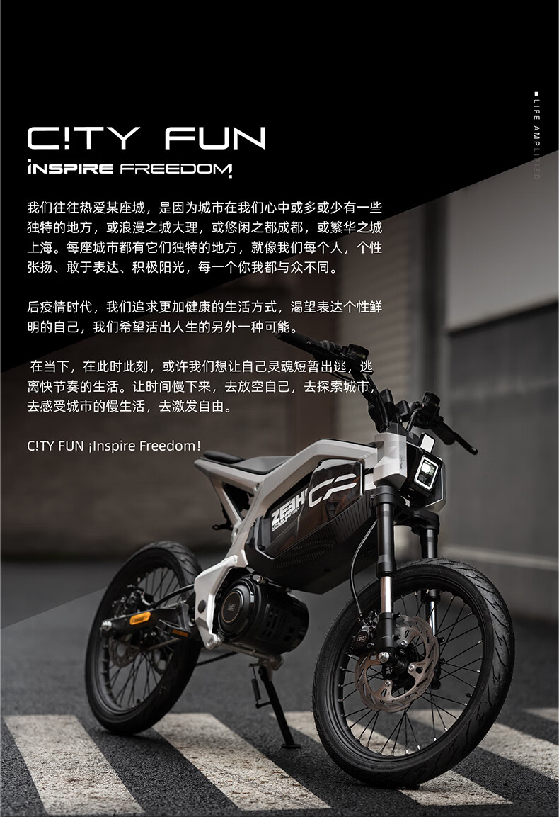 ZEEHO 极核CiTY FUN新国标电动自行车CITY FUN跨骑中置电机电自莫德灵黑