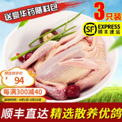 PINXIANFUREN 品鲜夫人 新鲜鸽子肉 农家高品质生态散养现杀鸽子肉足龄优质大个头鸽子肉 新鲜大乳鸽2只
