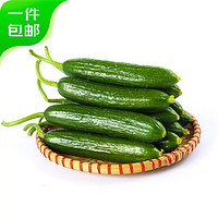 京鲜生 山东荷兰水果黄瓜 净3.5斤单果70g+