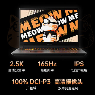 COLORFIRE MEOW 橘宝R15 七彩虹24款15.6英寸锐龙7游戏本电竞本7735H RTX4050/4060笔记本电脑 7735H/4060 32G/1T