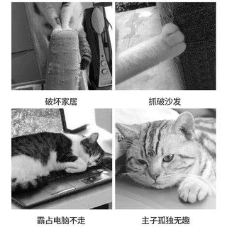 茨格曼 格曼 猫抓板耐磨不掉屑猫爪板耐抓瓦楞纸磨爪防猫抓沙发保护小猫咪用品