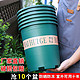 绿萝盆栽月季吊兰花 口径16cm2个盆 含托盘送肥料+生根粉　
