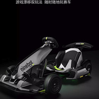 20点开始：Ninebot 九号 卡丁车 Pro 2代