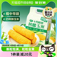 88VIP：十月稻田 黄糯玉米