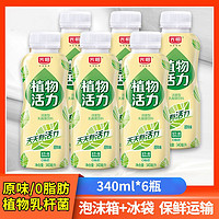 百亿补贴：Bright 光明 植物活力活菌饮品340ml原味0脂肪低温乳酸菌含乳饮料6瓶整箱