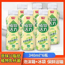 Bright 光明 植物活力活菌饮品340ml原味0脂肪低温乳酸菌含乳饮料6瓶整箱