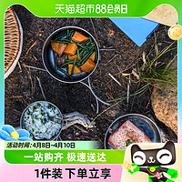 88VIP：Naturehike 钛锅野营餐具露营煎锅野外便携式锅具炊具厨具