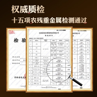 长白工坊 特级野生蒲公英根茶 290g*1罐