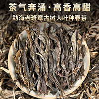 勐洛小寨 新茶2024年老班章普洱茶散茶布朗山古树茶春茶云南勐海生普茶 精选原料老班章 250克